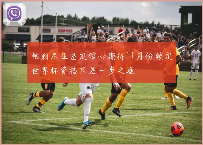 帕利尼亚坚定信心期待11月份锁定世界杯资格只差一步之遥