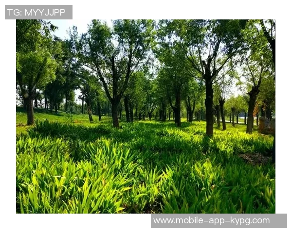 泰尔齐奇对加图索充满信心期待他打造强队的未来